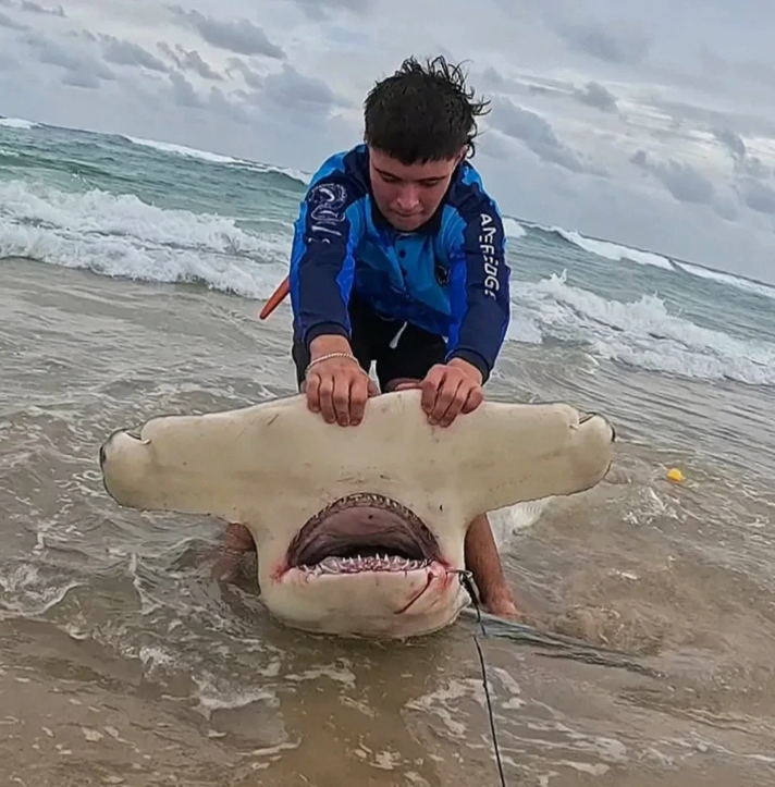 3x DRONE TRACES - 5M, 2.5mm, 20/0