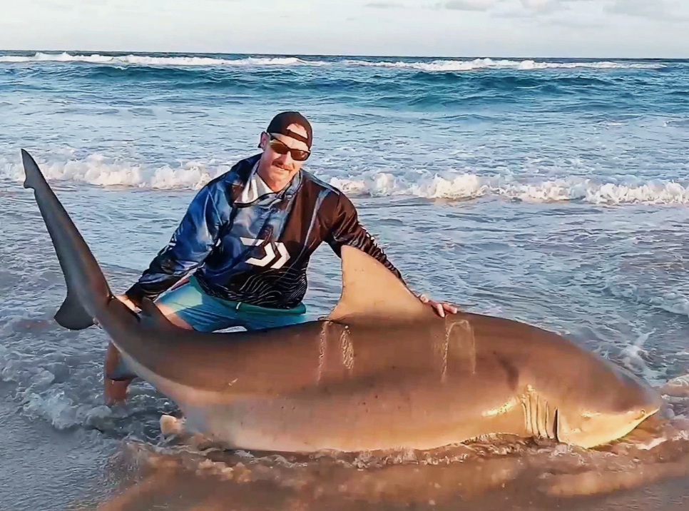 3 ALL ROUNDER TRACES - 5M, 2.5mm, 20/0