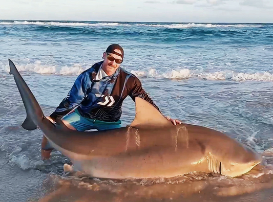 ALL ROUNDER TRACE - 5M, 2.5mm, 20/0