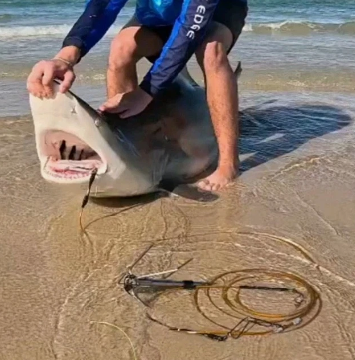 Semi breakaway Anchor, Drone/Kayak deploy, 185mm, 195g (6.9oz)